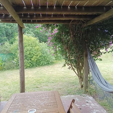 Casas Punta Negra Villa Piriapolis Bagian luar foto