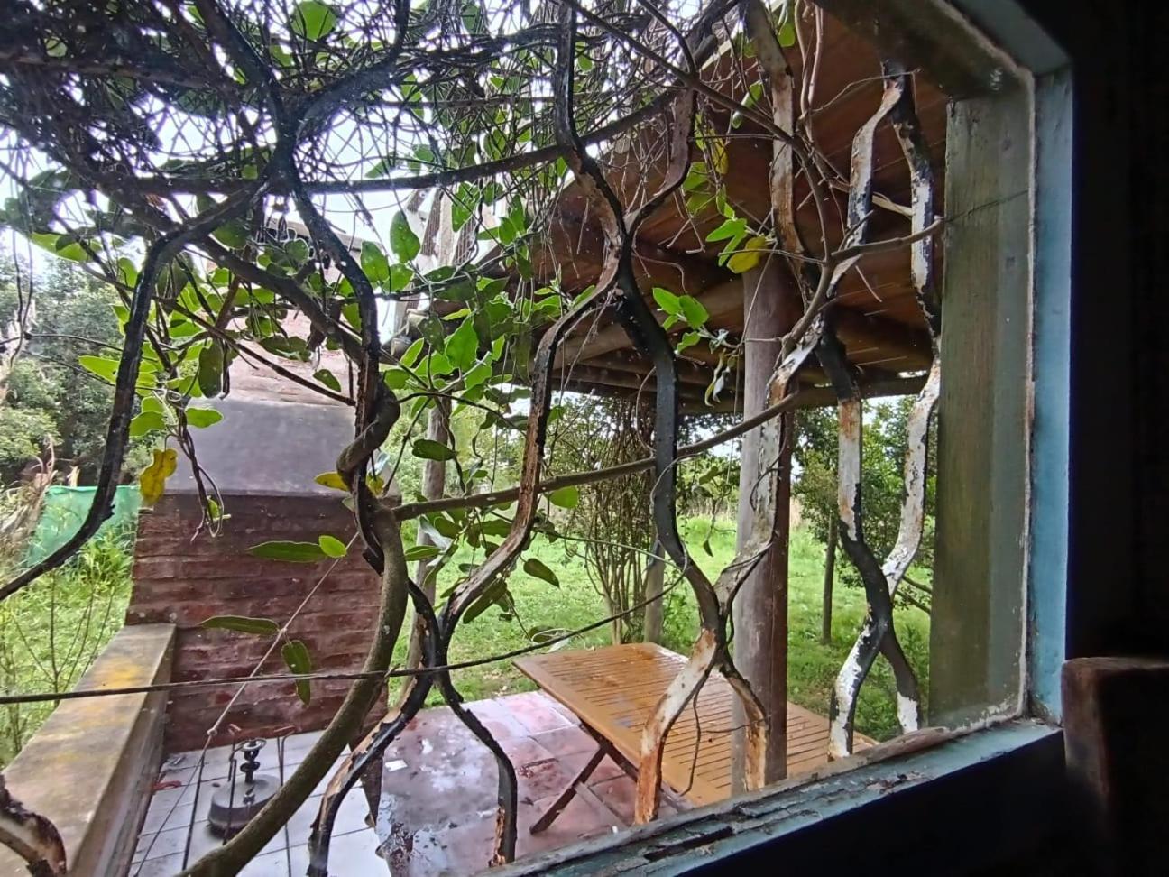 Casas Punta Negra Villa Piriapolis Bagian luar foto